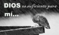 /album/cristo-es-vida/dios-es-suficiente-jpg/