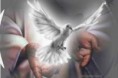 /album/cristo-es-vida/sanacion-espiritu-santo-jpg/